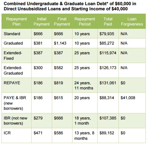 Understanding REPAYE: Credible's guide