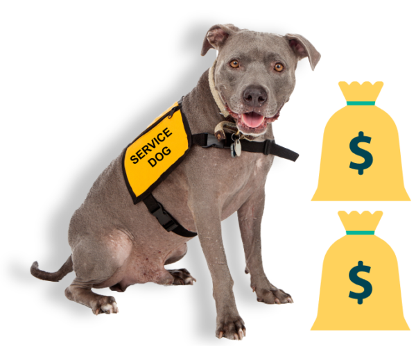 can you charge a pet deposit for a service dog